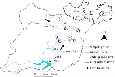 Seasonal variations of microbial community structure, assembly processes, and influencing factors in karst river